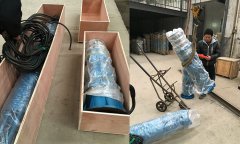 Indonesia customers order deep well pump